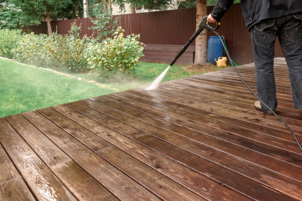 Best Driveway Pressure Washing  in Townsend, DE
