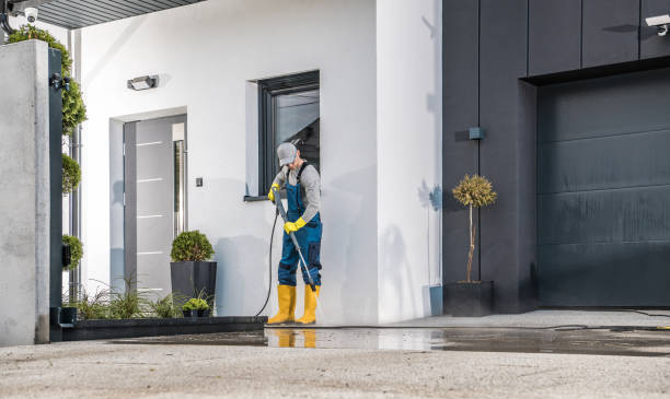 Best Dumpster Area Cleaning  in Townsend, DE